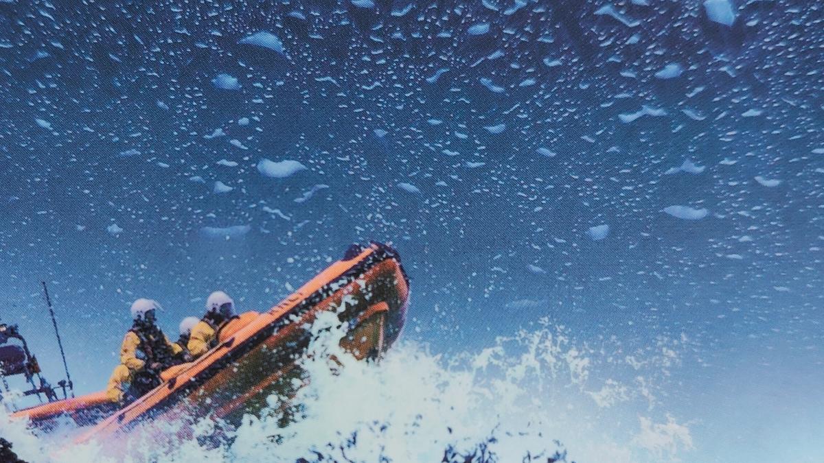 Cover detail of The Raging Storm by Ann Cleeves