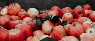 Photo by Joanna Nix-Walkup on Unsplash