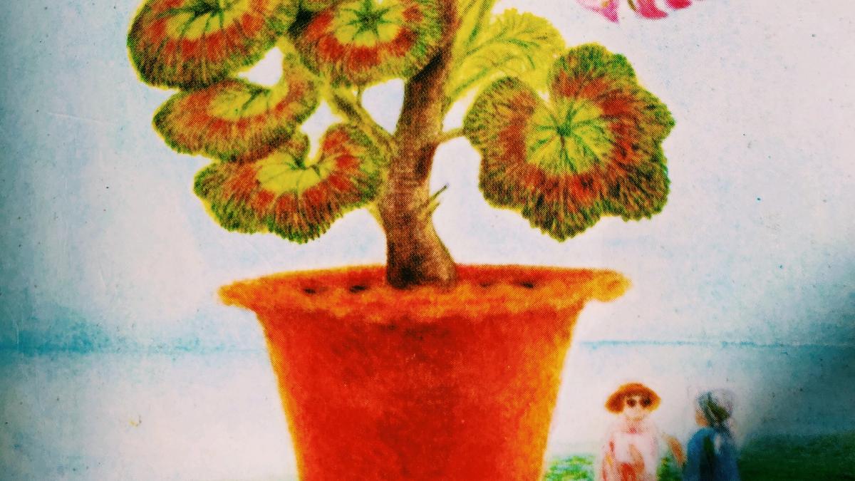 Cover detail of Farther Afield by Miss Read