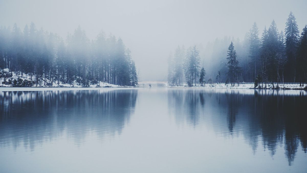 Photo by Jared Rice on Unsplash