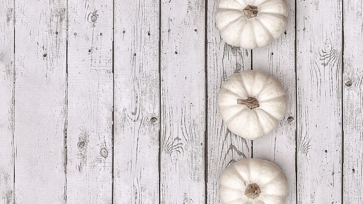 Photo by Robert Zunikoff on Unsplash showing 4 white pumpkins on a wooden floor