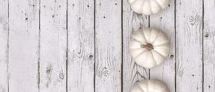 Photo by Robert Zunikoff on Unsplash showing 4 white pumpkins on a wooden floor