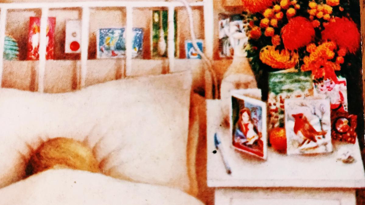 Cover detail of No Holly for Miss Quinn by Miss Read