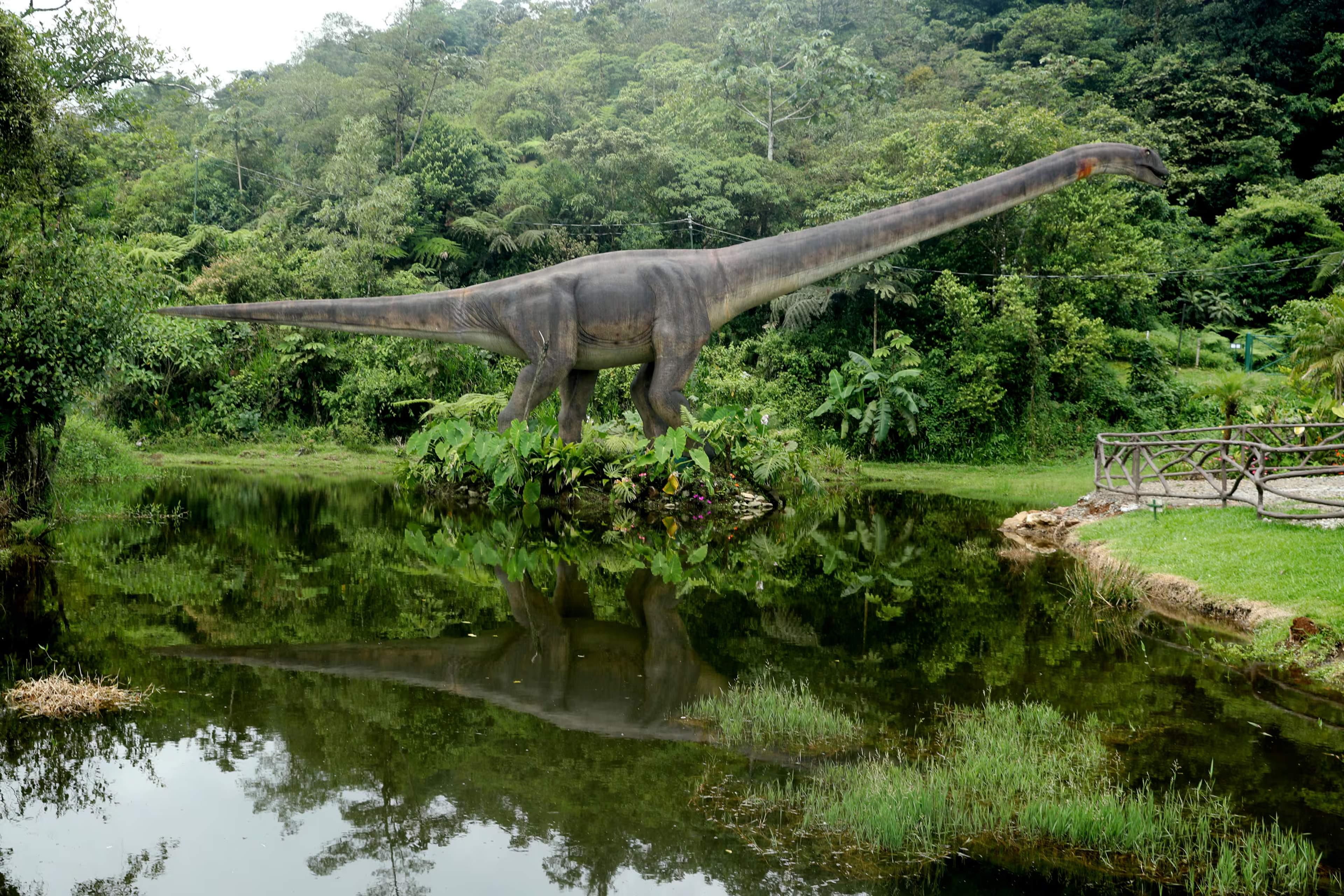 Río Agrio, Pozas Celestes & Dino Land: Der komplette Reiseführer