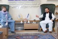 Discussions Held on Development of Air Transport Between Afghanistan and Russia
