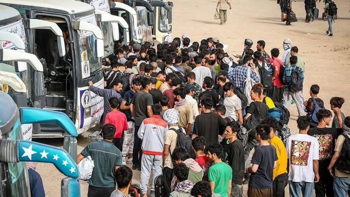 Over 4,700 Afghan Migrants Return in Single Day as UN Highlights Employment Challenges