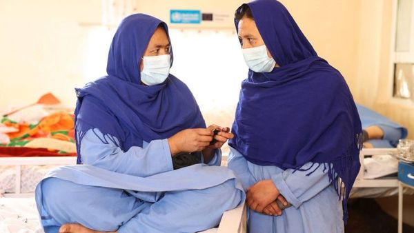 WHO and UNODC Reaffirm Support for Afghanistan Drug Treatment and Control Efforts