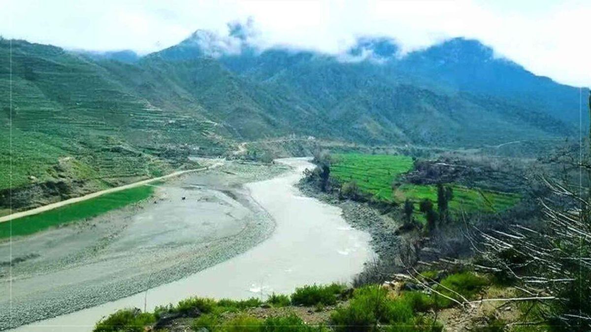 Pakistani Artillery Strikes Kill Civilians in Afghanistan's Kunar Province