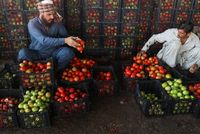 World Bank Projects Over 3% Growth for Afghanistan in 2026 Amid Trade Shocks