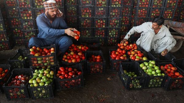 World Bank Projects Over 3% Growth for Afghanistan in 2026 Amid Trade Shocks