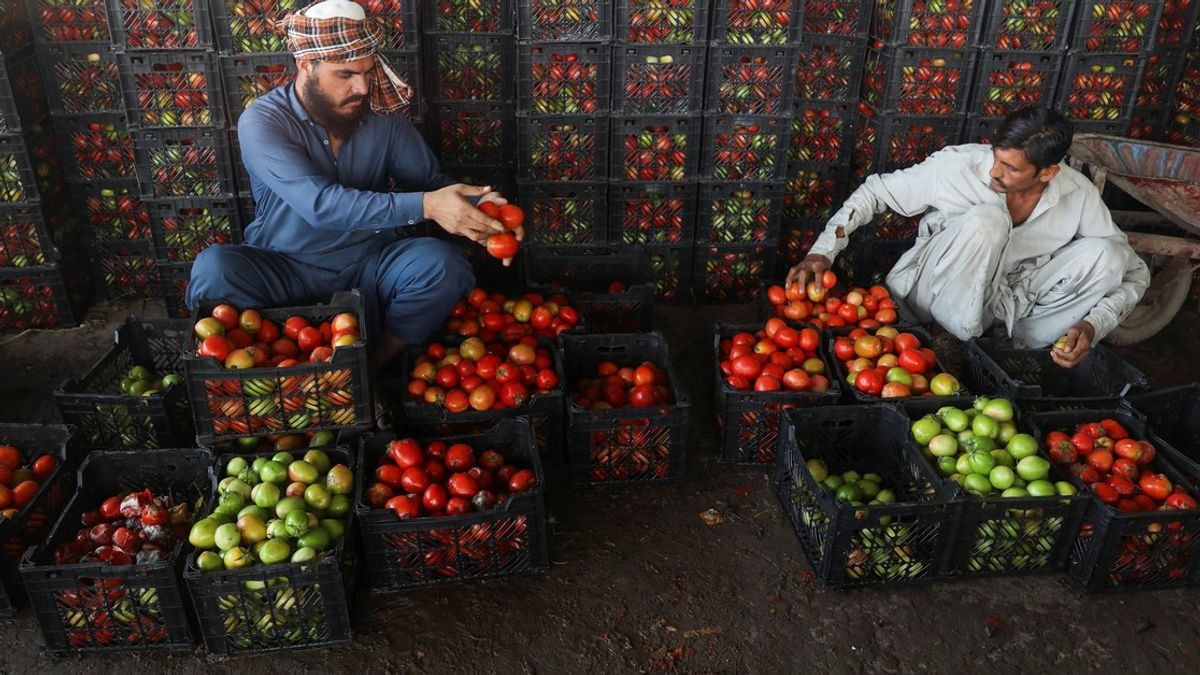 World Bank Projects Over 3% Growth for Afghanistan in 2026 Amid Trade Shocks