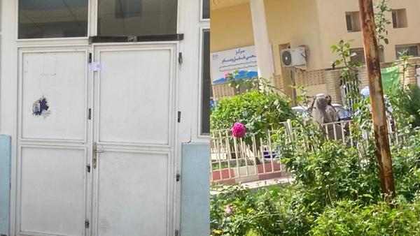 Taliban Enforcers Threaten Doctors at Herat Maternity Hospital Over Contraceptives