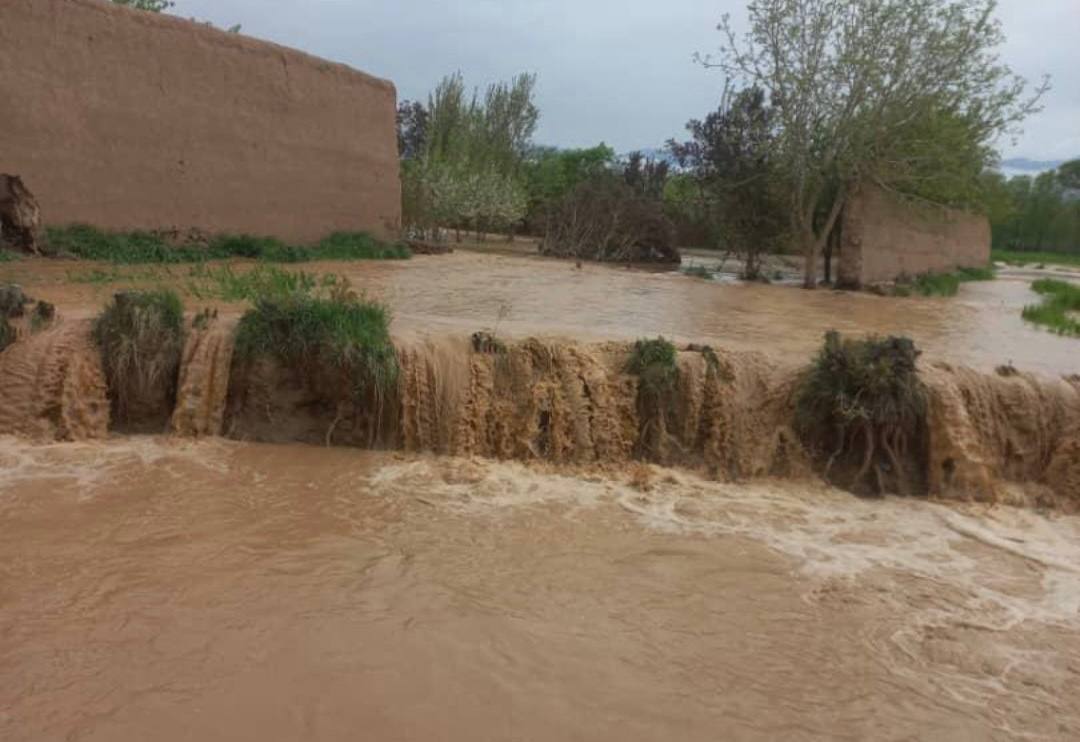 World Health Organization Warns of Disease Risks from Floodwaters in Afghanistan