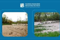 Recent Rainfall Revives Afghanistan's Agriculture Amid Heavy Casualties, Damage