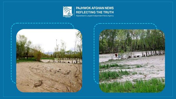 Recent Rainfall Revives Afghanistan's Agriculture Amid Heavy Casualties, Damage