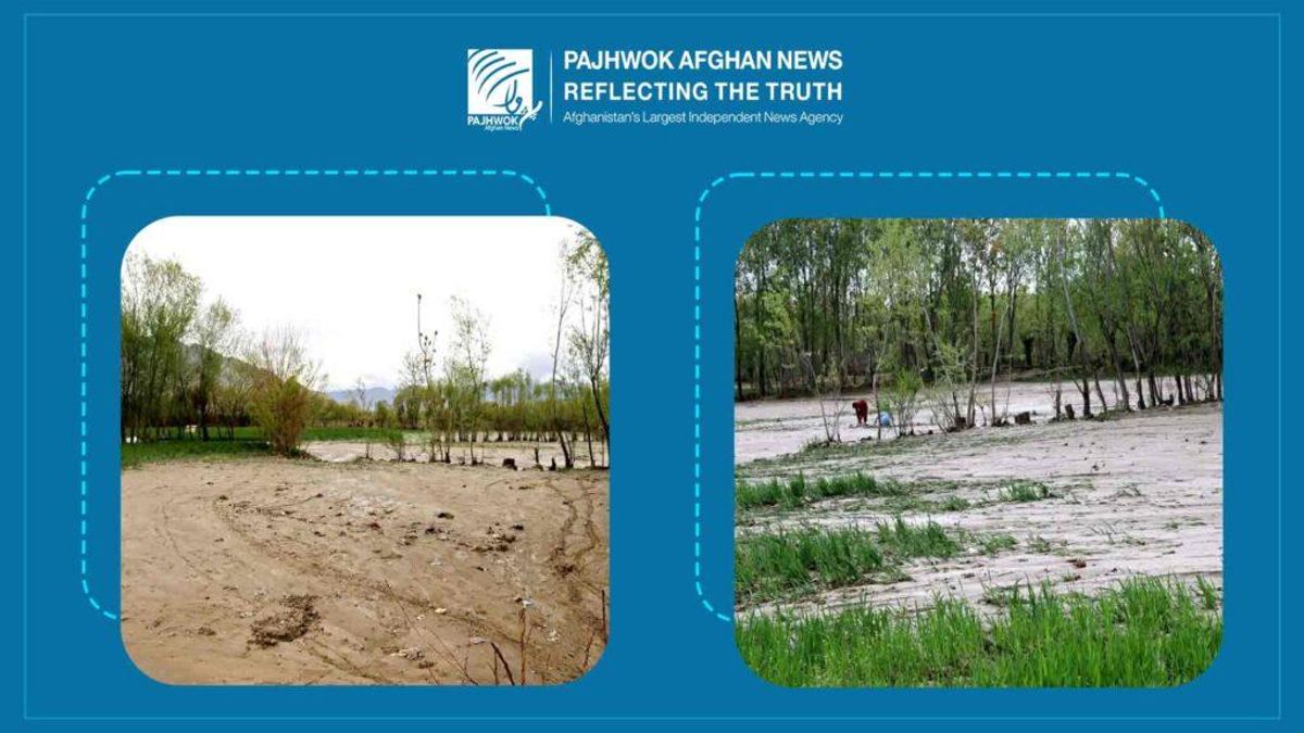 Recent Rainfall Revives Afghanistan's Agriculture Amid Heavy Casualties, Damage
