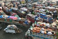 Nearly 900 Afghan Migrant Families Return from Pakistan and Iran