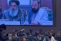 Leaked Taliban document requests former US advisor for health ministry role