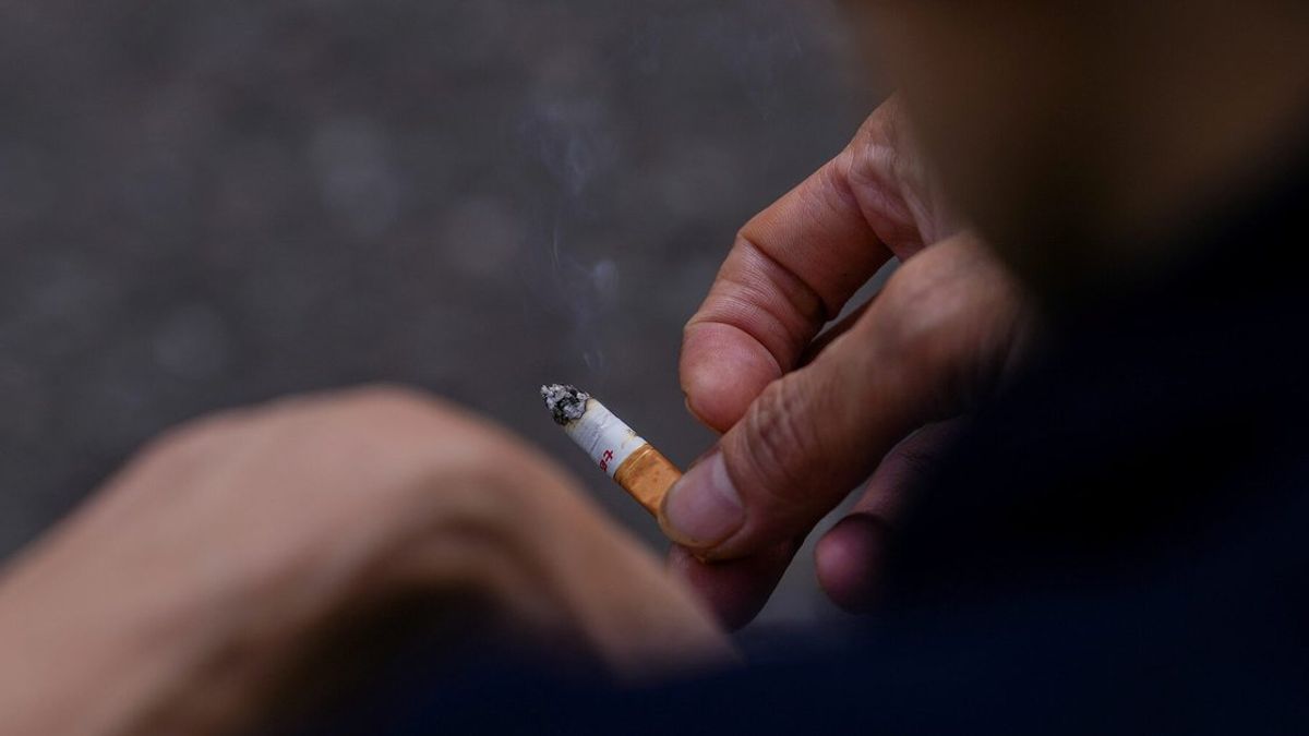 Afghanistan's Trade Deficit Hits $5.8 Billion in First Half of Solar Year 1404 Amid Consumer Goods Imports