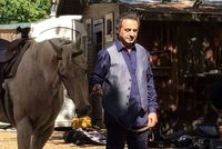 Iranian Singer Aref Arefkia, Known as 'Sultan of Hearts', Dies at 85