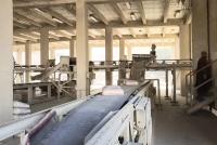 Daily Production at Baghlan's Ghori Cement Factory Increases to 700 Tons