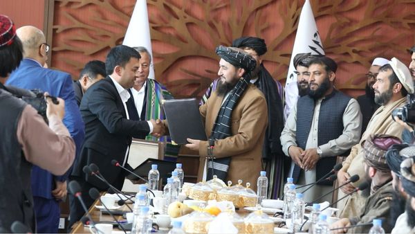 Afghan, Uzbek Companies Sign $2 Million Contract for Trading Chicks and Eggs