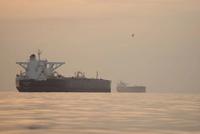 Ten Indian Vessels Cross Strait of Hormuz as Fourteen Remain Stranded Amid Regional Tensions