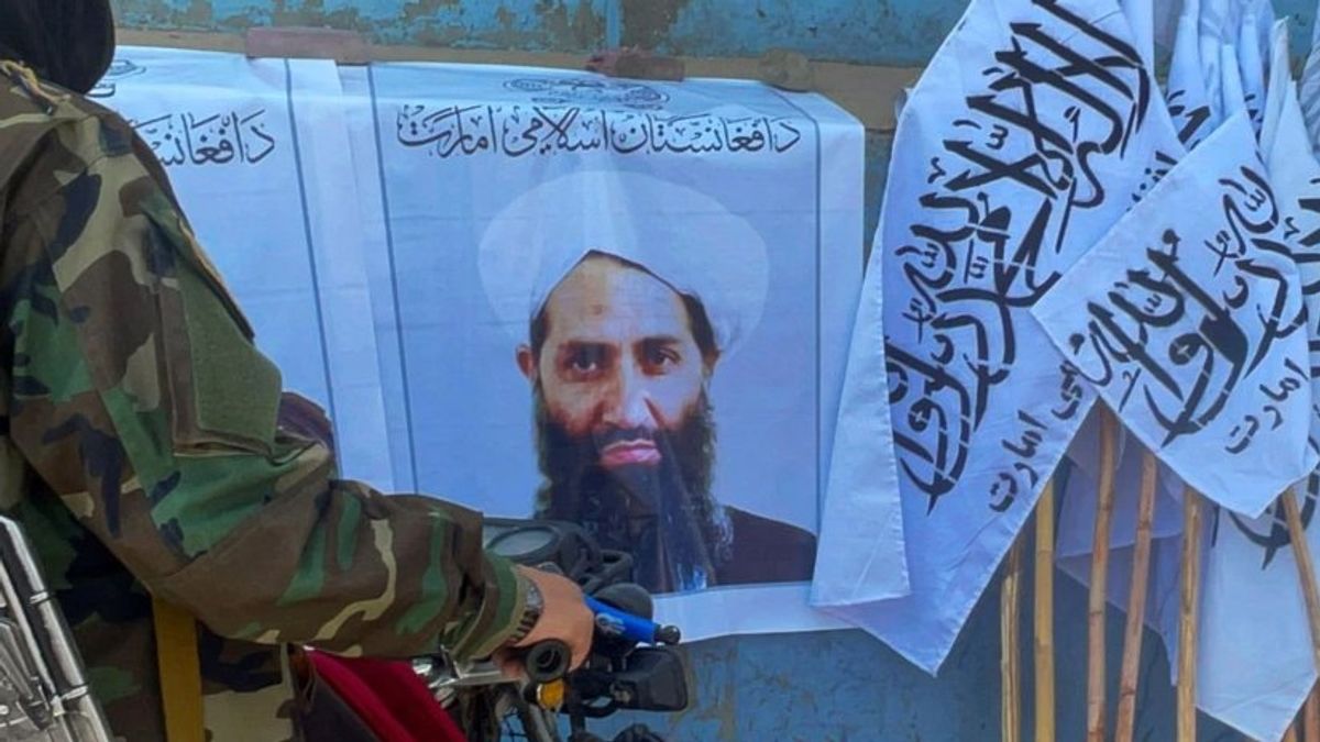 Pakistan Uses 'Calculated Pressure' on Taliban in Escalating Clashes, Avoids Targeting Leaders