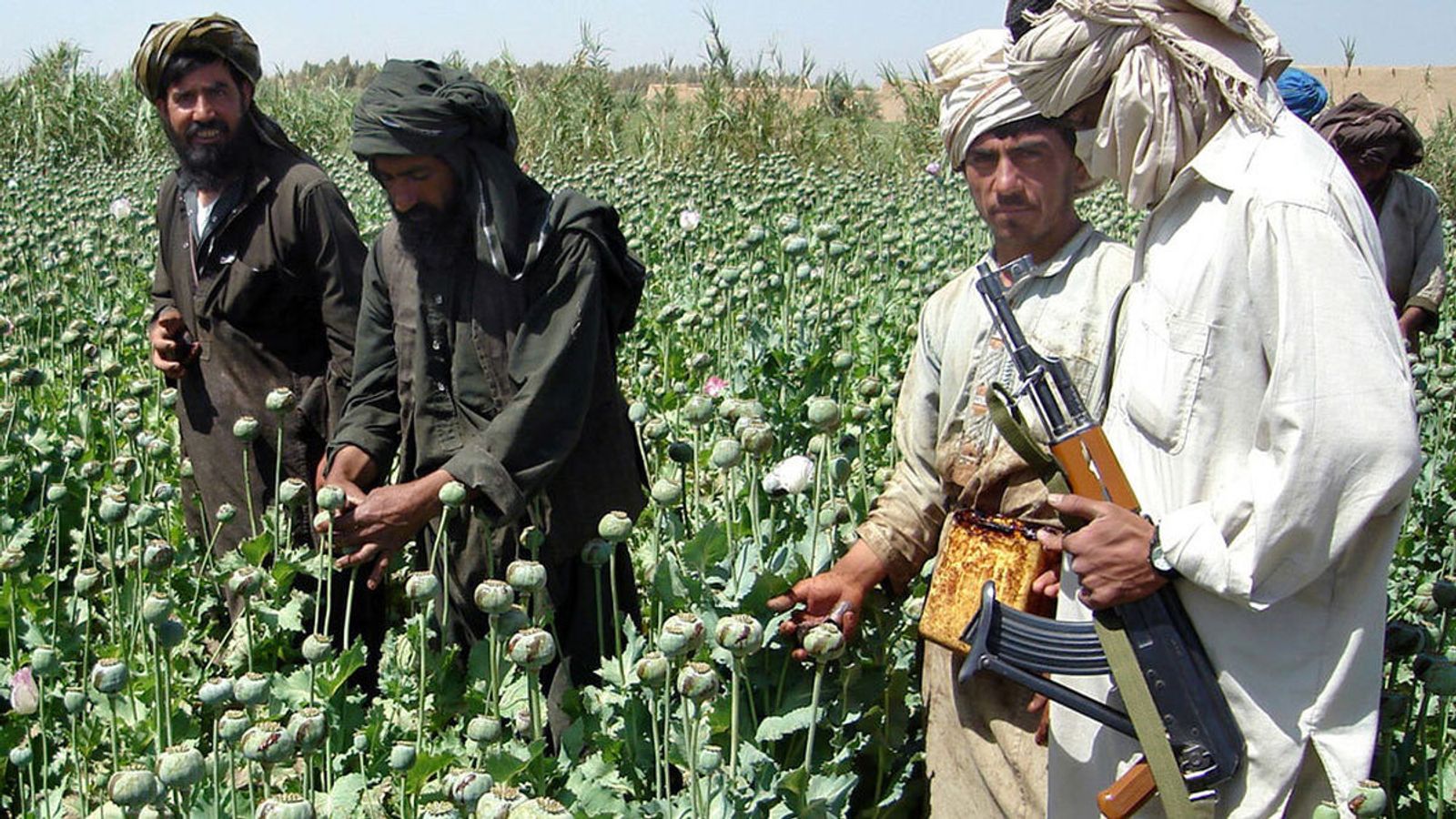 Statement from 69th Anti-Narcotics Commission Meeting Cites Rise in Women's Drug Addiction in Afghanistan