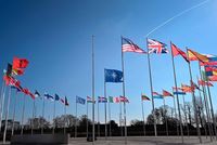 Iran-US-Israel War Strains NATO Unity, Pushing Alliance to Brink of Collapse