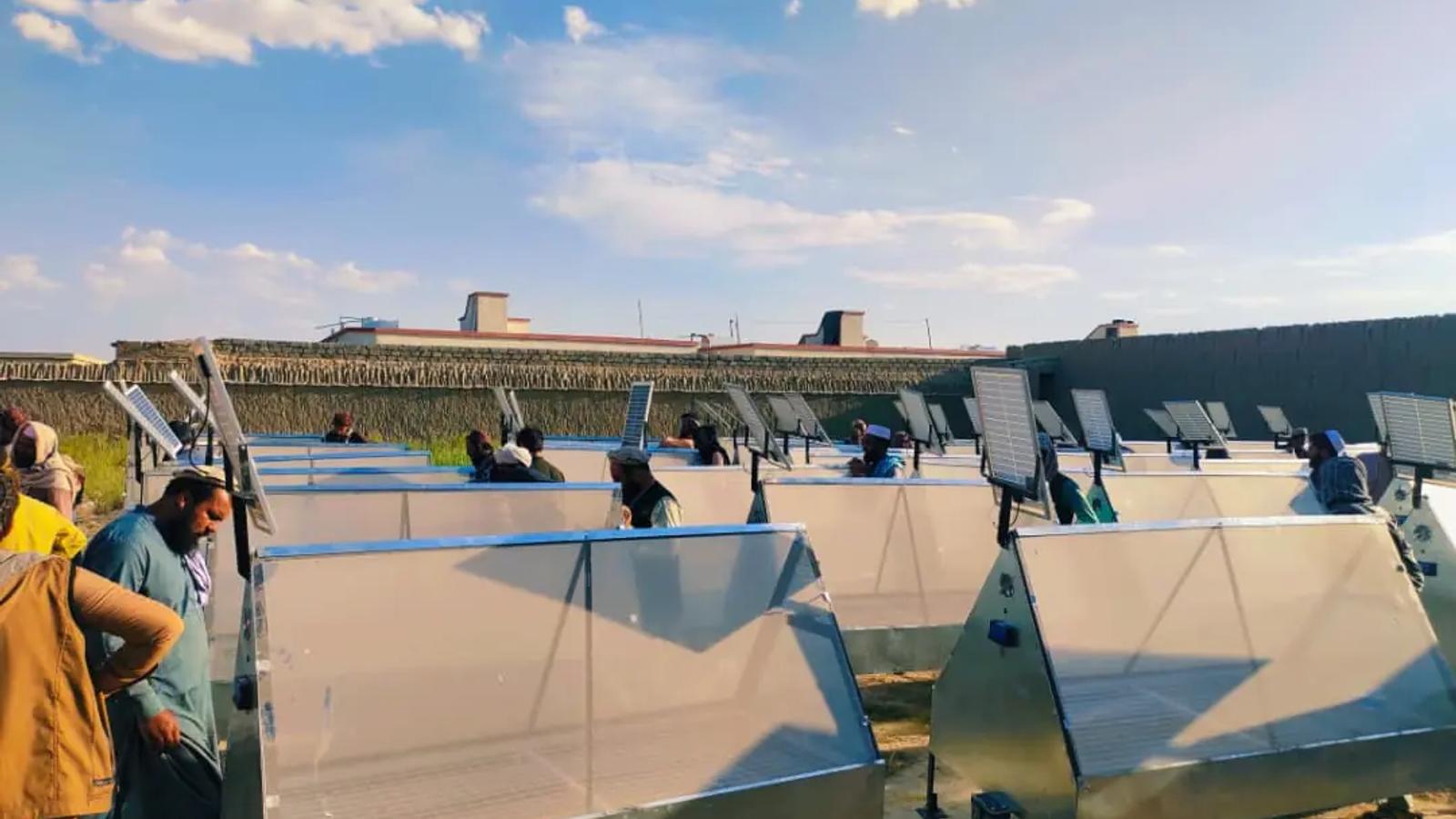 Solar dryers distributed to 65 farmers in Paktika