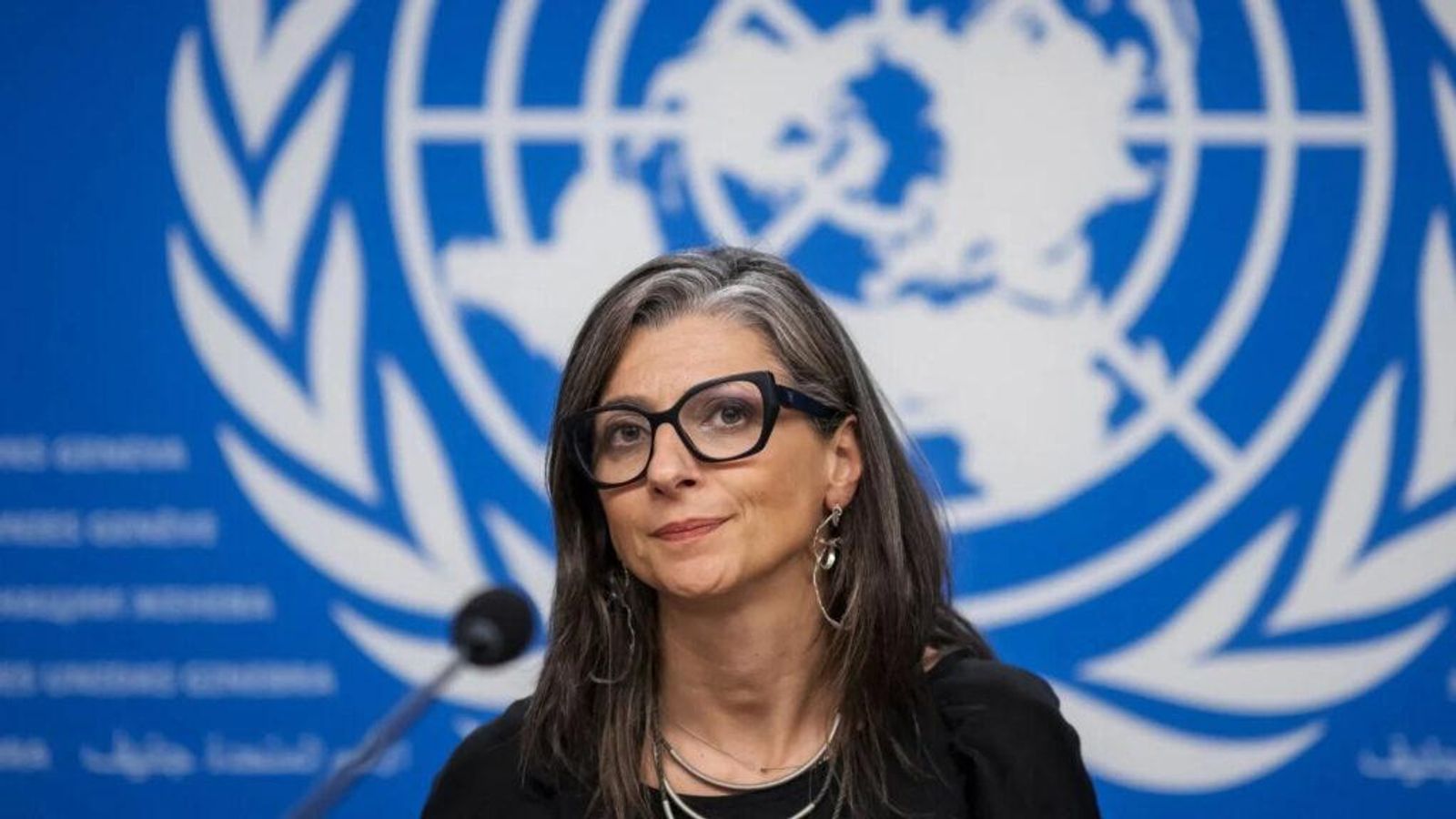 UN Special Rapporteur Albanese Says World Has Given Israel 'Licence to Torture Palestinians'