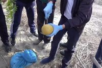 Uzbekistan Reports Discovery of Nearly Nine Kilograms of Opium Smuggled from Afghanistan