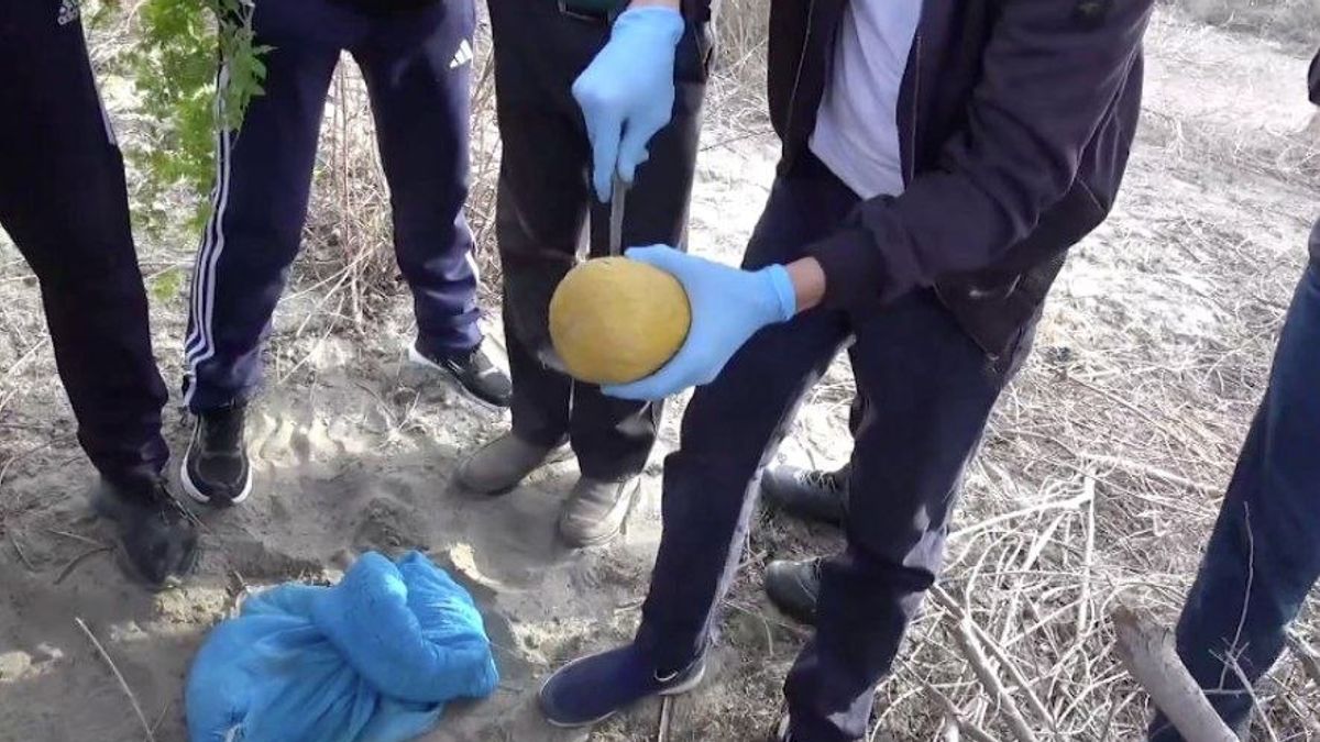 Uzbekistan Reports Discovery of Nearly Nine Kilograms of Opium Smuggled from Afghanistan