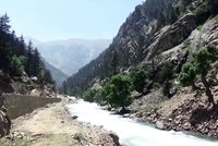 Security Sources Report Pakistani Military Regime Forces Fire on Vehicle in Kunar, Killing Female Doctor