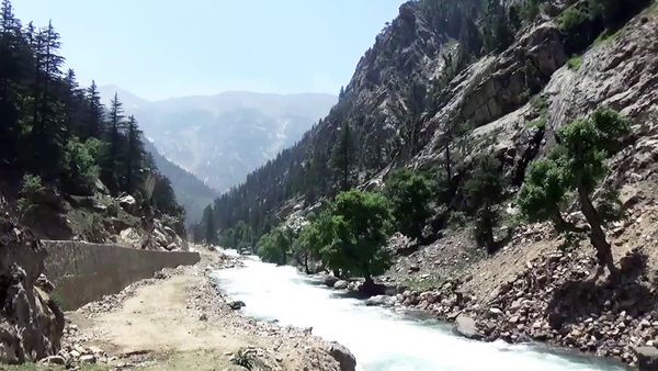 Security Sources Report Pakistani Military Regime Forces Fire on Vehicle in Kunar, Killing Female Doctor