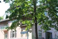Afghan Women's Rights Groups Urge Germany to Block Taliban Influence in Diplomatic Missions