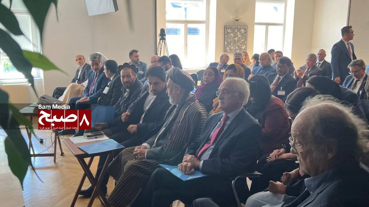 Sixth Meeting of Vienna Process for Democratic Afghanistan Postponed