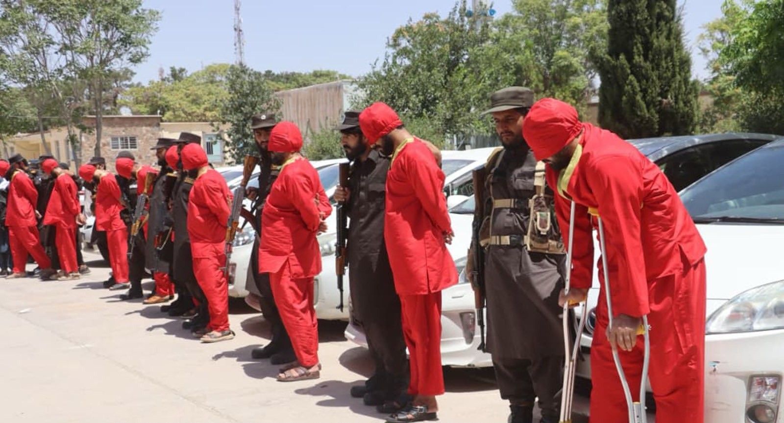 Security Forces Arrest Three Theft Gangs in Herat, Recover 24 Vehicles