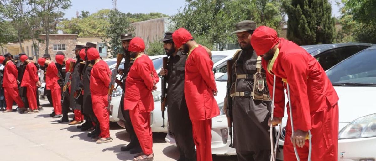 Security Forces Arrest Three Theft Gangs in Herat, Recover 24 Vehicles