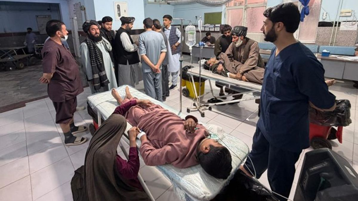 UN Special Rapporteur Calls for Probe into Deadly Attack on Shiite Civilians in Herat