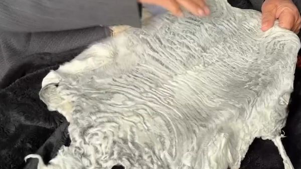 Over 36,000 Sheets of Karakul Skin Exported Through Hairatan Port This Year