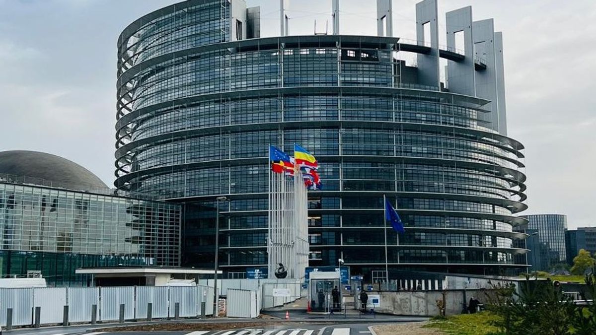European Parliament Hosts Military Groups Opposing Taliban