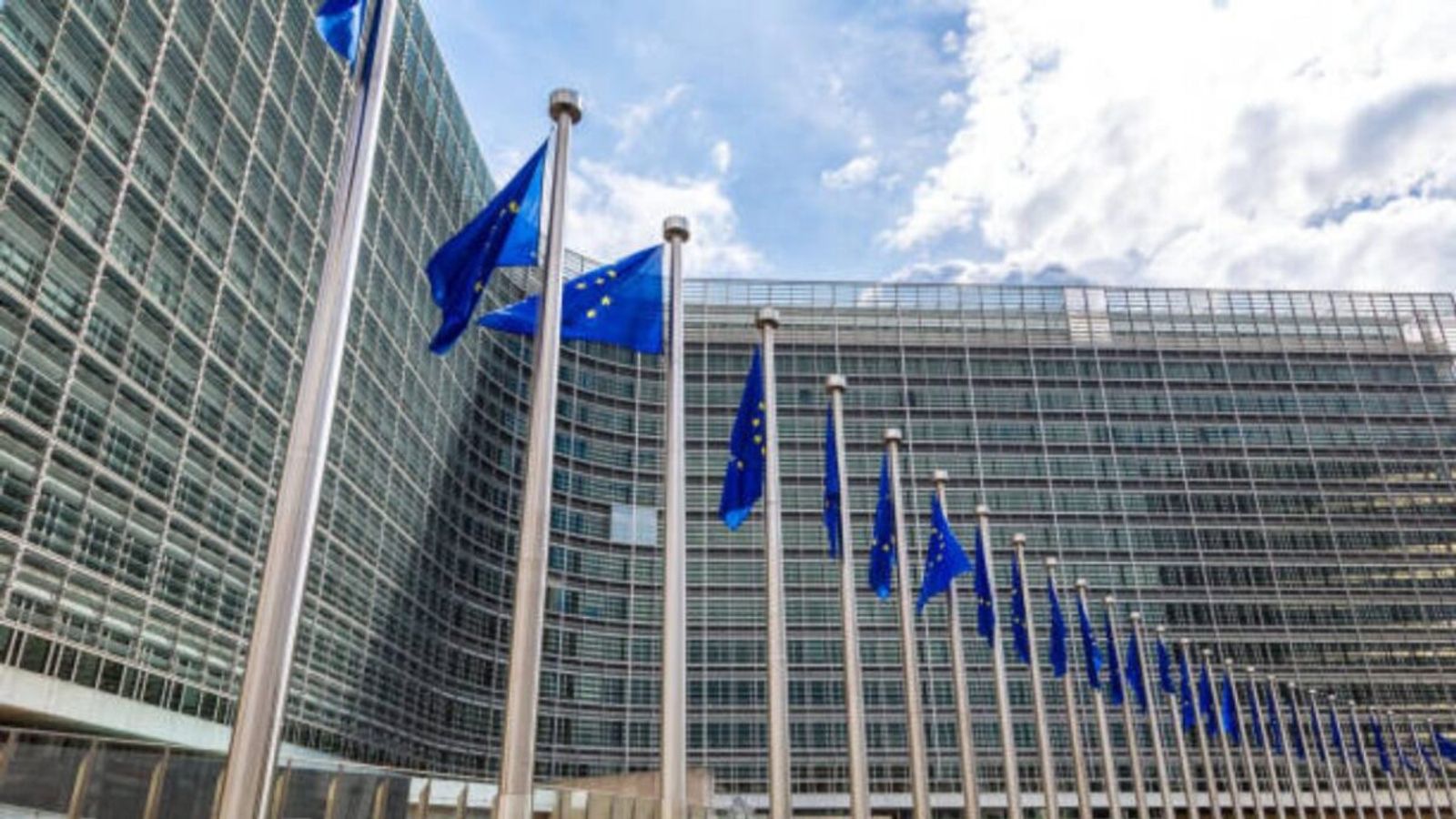 European Parliament Registers Petition on Gender Apartheid and Taliban Terrorist Designation