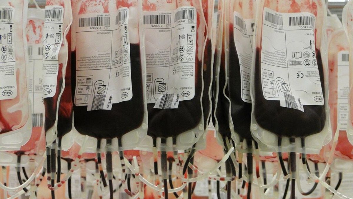Kabul Residents Allege Corruption and Abuse in Blood Banks Since Taliban Takeover