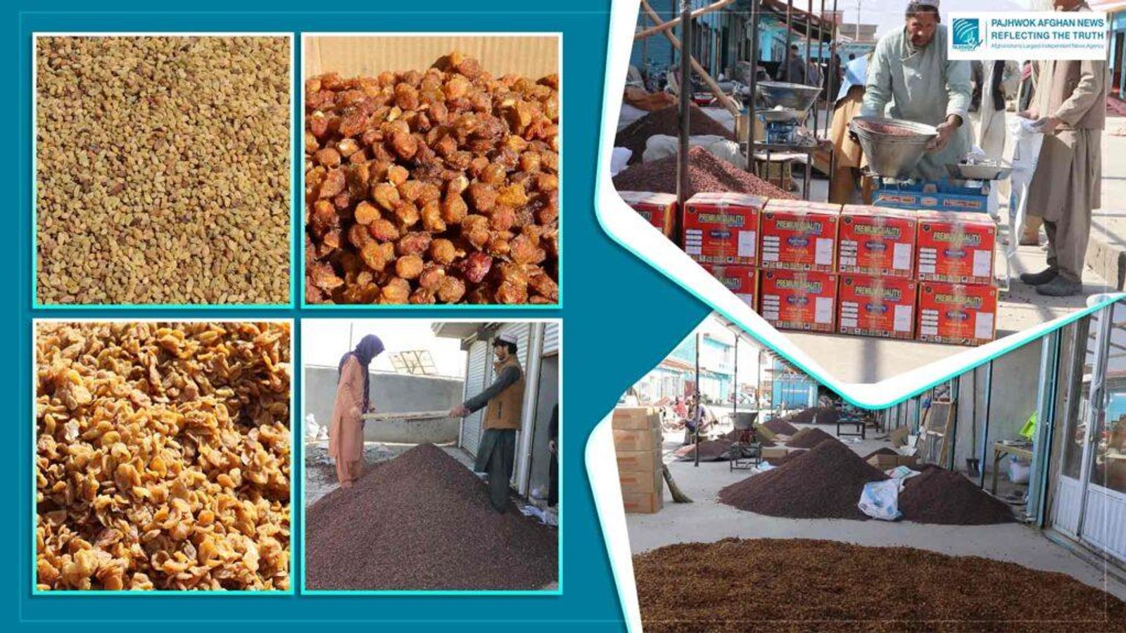 Ghazni Exports 13,000 Tonnes of Dried Fruit in Current Solar Year
