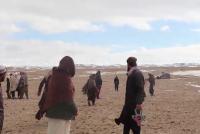 3,000 Returned Refugee Families in Zabul Receive Housing Plots
