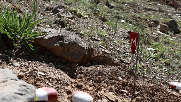 Taliban Calls for International Cooperation to Clear Mines in Afghanistan