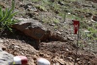 Taliban Calls for International Cooperation to Clear Mines in Afghanistan