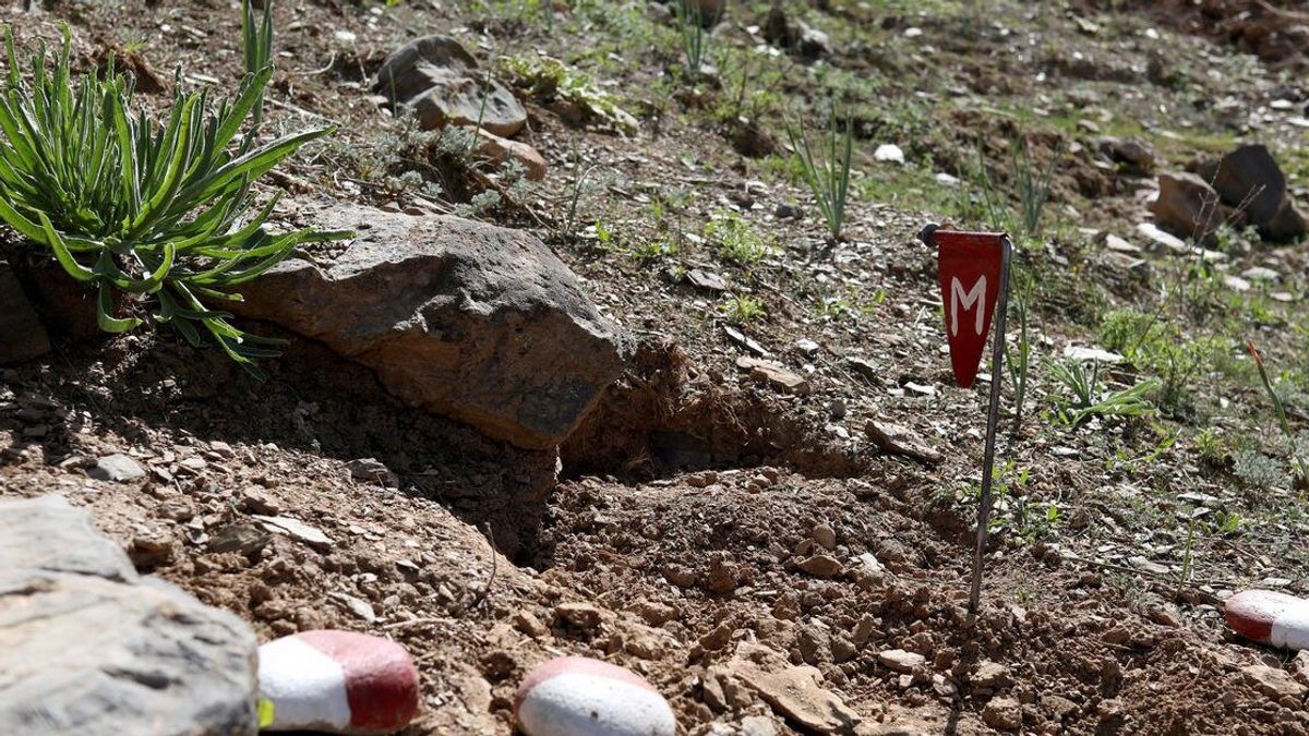 Taliban Calls for International Cooperation to Clear Mines in Afghanistan